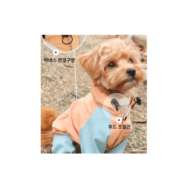 (새상품) 냥인댕 강아지 올인원 우비 XL사이즈 바람막이 가능